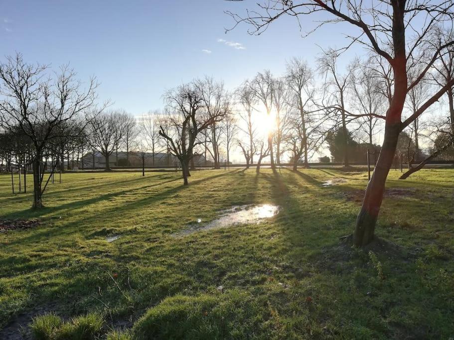 'T Winkeltje - Vakantiehuisje Op Boerderij Huize Blokland Hem Exterior photo